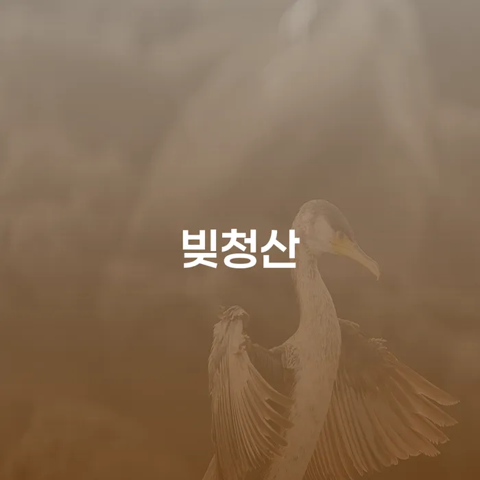 회생절차 빚청산 관련정보