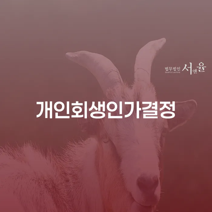 카드빛 개인파산 자세하게 알아보자