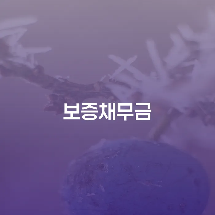 개인회생면책대출 개인회생 문제해결방법 총정리
