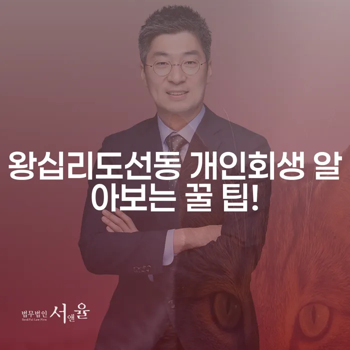 왕십리도선동 개인회생 알아보는 꿀 팁!