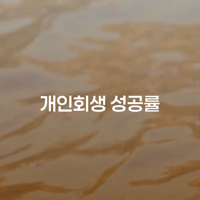개인회생 성공률을 높이기 위한 방법은 무엇인가요?