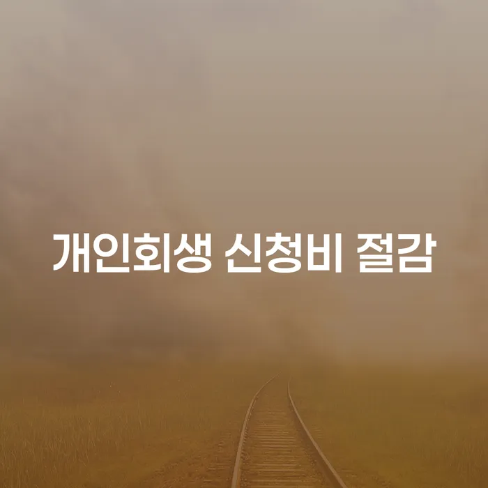 개인회생 신청비 절감을 위한 최적의 방법은 무엇일까요?