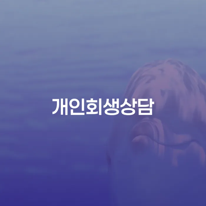 청구동 개인회생상담으로 채무 해결하기