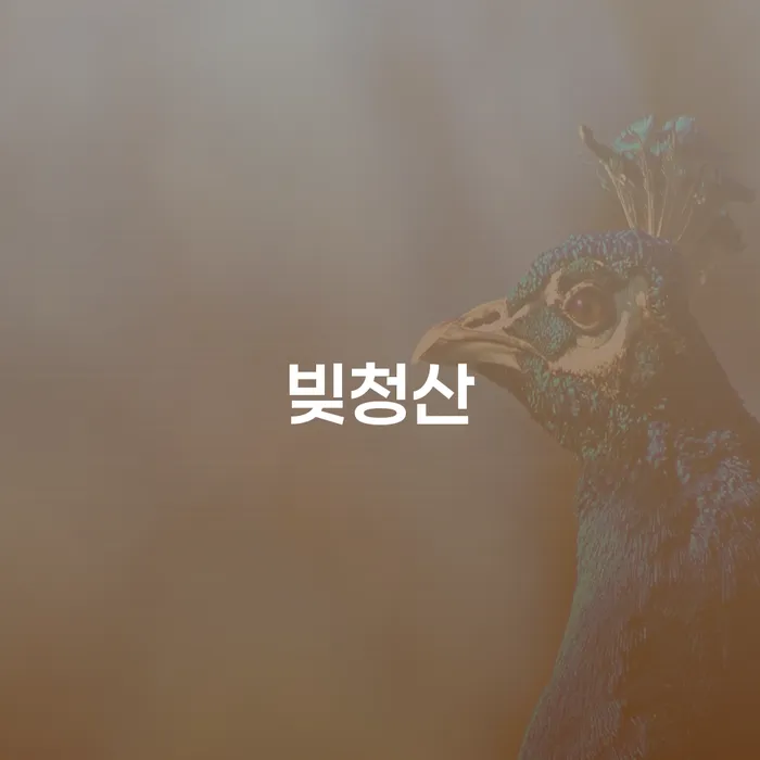 59살 3010만원 제4금융 대출액 빚 청산할 수 있을까요?