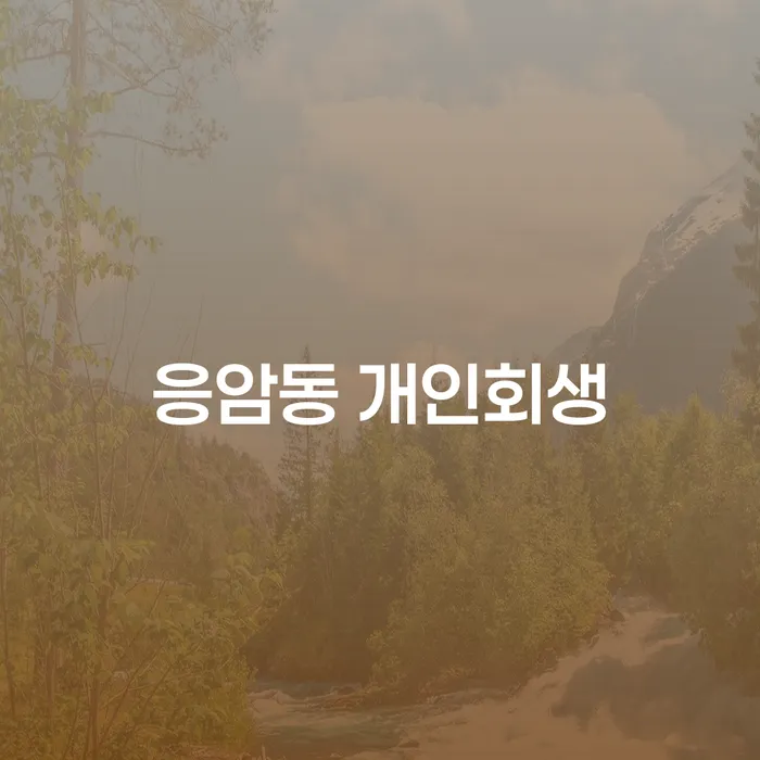 어떻게 응암동 개인회생으로 재정난을 극복할 수 있을까요?
