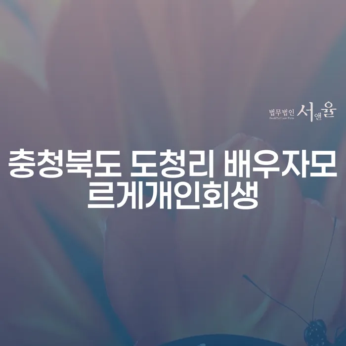 충청북도 도청리에서 배우자 모르게 개인회생을 신청할 수 있을까요?