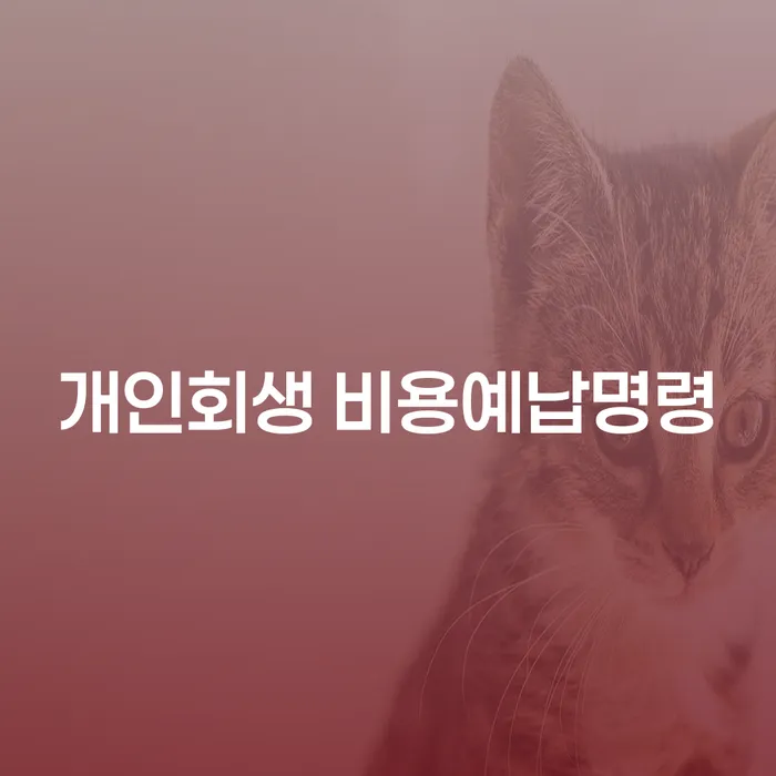 개인회생 비용예납명령은 무엇일까요?