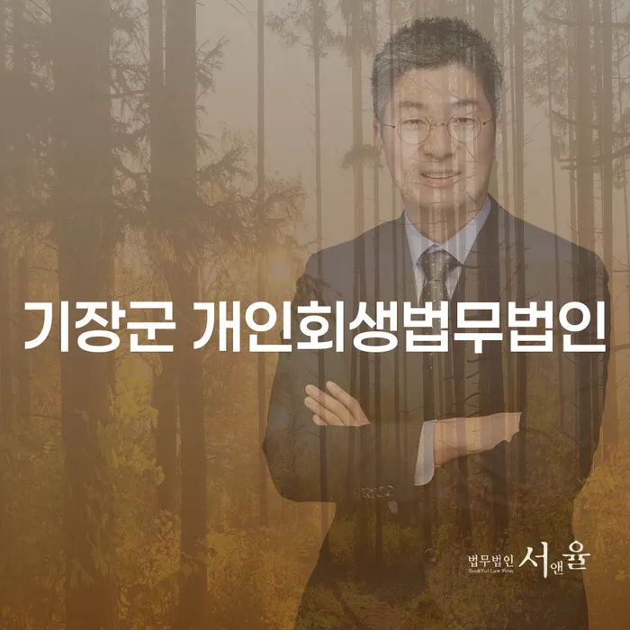 개인회생과 개인파산, 어디로 가야 할까? 기장군과 용인시 수지구의 법무법인 선택하기