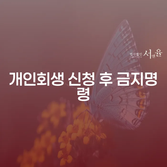 개인회생 신청 후 금지명령, 어떻게 준비해야 할까요?